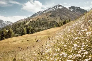 Wandern in Sölden 4